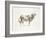 Brown & White Cow-Patti Mann-Framed Art Print