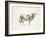 Brown & White Cow-Patti Mann-Framed Art Print