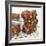 Brownies on Cake Rack-Dave King-Framed Photographic Print