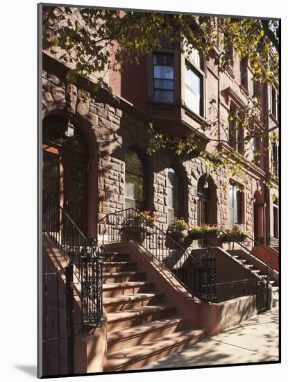 Brownstone Buildings in Harlem, Manhattan, New York City, USA-Jon Arnold-Mounted Photographic Print