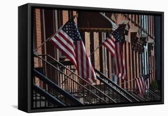 Brownstone Flags, 2018-Anthony Butera-Framed Premier Image Canvas