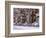 Brownstones in Blizzard-Rudy Sulgan-Framed Photographic Print