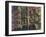 Brownstones-Patti Mollica-Framed Giclee Print