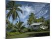 Photographic Print