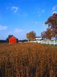 Farm in Autumn-Bruce Burkhardt-Photographic Print