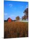 Photographic Print