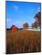 Photographic Print