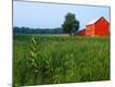 Premium Photographic Print
