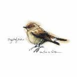 Songbird Study II-Bruce Dean-Art Print