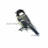 CHICKADEE-BRUCE DEAN-Framed Art Print