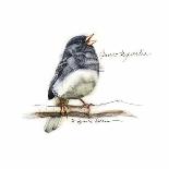 JUNCO #2-BRUCE DEAN-Framed Stretched Canvas