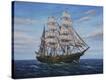 Stretched Canvas Print