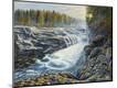 Premium Giclee Print