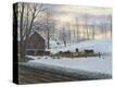 Stretched Canvas Print
