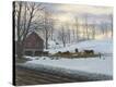Stretched Canvas Print