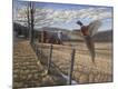 Premium Giclee Print