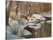 Stretched Canvas Print