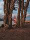 Premium Photographic Print