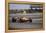 Bruce Mclaren's Mclaren-Ford, Spanish Grand Prix, Jarama, Madrid, 1968-null-Framed Premier Image Canvas