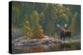 Stretched Canvas Print
