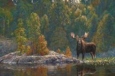 North Country Moose-Bruce Miller-Framed Art Print