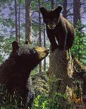 North Country Moose-Bruce Miller-Giclee Print