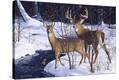 Stretched Canvas Print