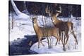 Stretched Canvas Print