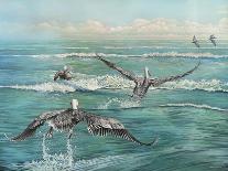 Pelican Beach-Bruce Nawrocke-Art Print