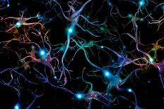 Brain cells with glowing nodes of colorful neurons.-Bruce Rolff-Art Print