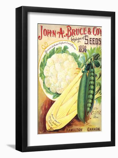 Bruce Seeds Hamilton Canada-null-Framed Art Print