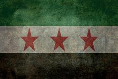 Syrian Interim Government And Syrian National Coalition'S National Flag-Bruce stanfield-Premium Giclee Print