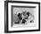 Bruce the Old English Bulldog Not Feeling His Best, November 1978-null-Framed Photographic Print