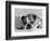 Bruce the Old English Bulldog Not Feeling His Best, November 1978-null-Framed Photographic Print