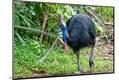 Premium Photographic Print