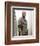 Bruce Willis-null-Framed Photo