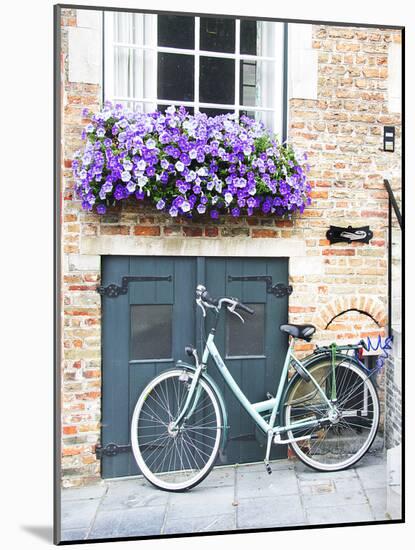 Brugge Door and Bicycle-George Johnson-Mounted Photographic Print