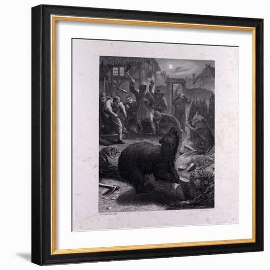 Bruin in the Trap-null-Framed Giclee Print