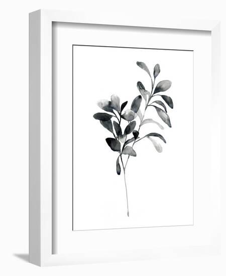 Brume Botanical I-Emma Scarvey-Framed Art Print