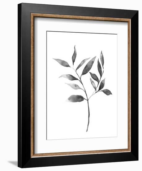 Brume Botanical II-Emma Scarvey-Framed Art Print