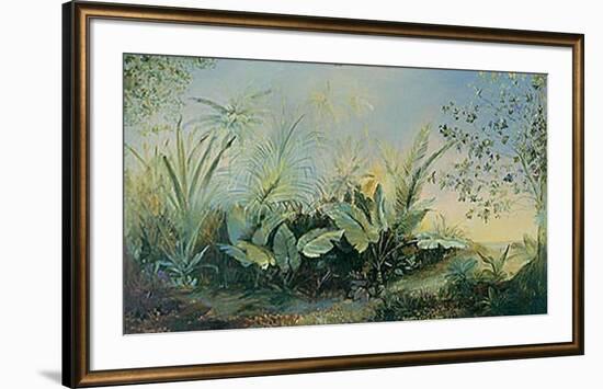 Brume Tropical-Dennis Carney-Framed Art Print