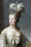 Marie-Antoinette de Lorraine-Habsbourg, archiduchesse d’Autriche, reine de France (1755-1795)-Brun Elisabeth Louise Vigée-Le-Framed Premier Image Canvas