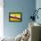 Brunei Flag Design with Wood Patterning - Flags of the World Series-Philippe Hugonnard-Framed Stretched Canvas displayed on a wall