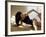 Brunette Stretching-null-Framed Photographic Print