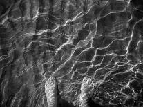 Footprints-Bruno Abarco-Photographic Print