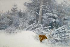 Cat Stalking over Snow, 1884-Bruno Andreas Liljefors-Giclee Print