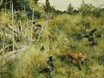 Moose Family Entering a Clearing, 1930 (Oil on Canvas)-Bruno Andreas Liljefors-Giclee Print