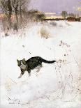 A Cat Basking in the Sun, 1884-Bruno Andreas Liljefors-Framed Giclee Print