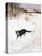 Stretched Canvas Print