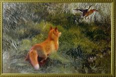 Eluding the Fox, 1912-Bruno Andreas Liljefors-Giclee Print